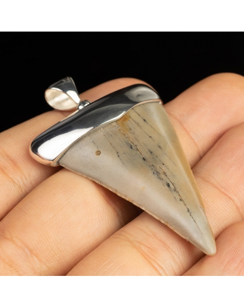 Orecchini Donna A Squalo In Argento Sterling 925 - Gioiello Simbolo Di Amicizia E Fedeltà, Regalo Ideale Per Compleanno O Laurea
